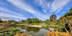 Japanese Garden - Cowra 